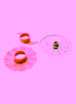 Daily Collection Compact Food Processoc05ae5a