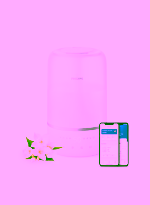a00d5146-25cc-4f6f-b95e-3e6115c3ae61