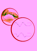 dc101c90-8306-4384-80ca-7e2d0a3e51c5