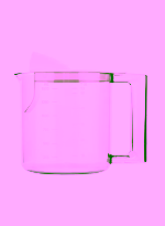 Electric Juicer