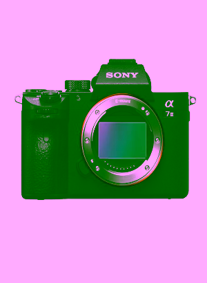 Sony Alpha A7 III Mirrorless Camera (Body Only)
