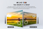 TCL 65P61L 65 Inch 4K UHD Smart Google TV with HDR10
